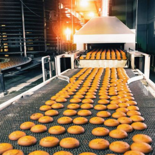Food Processing Industry